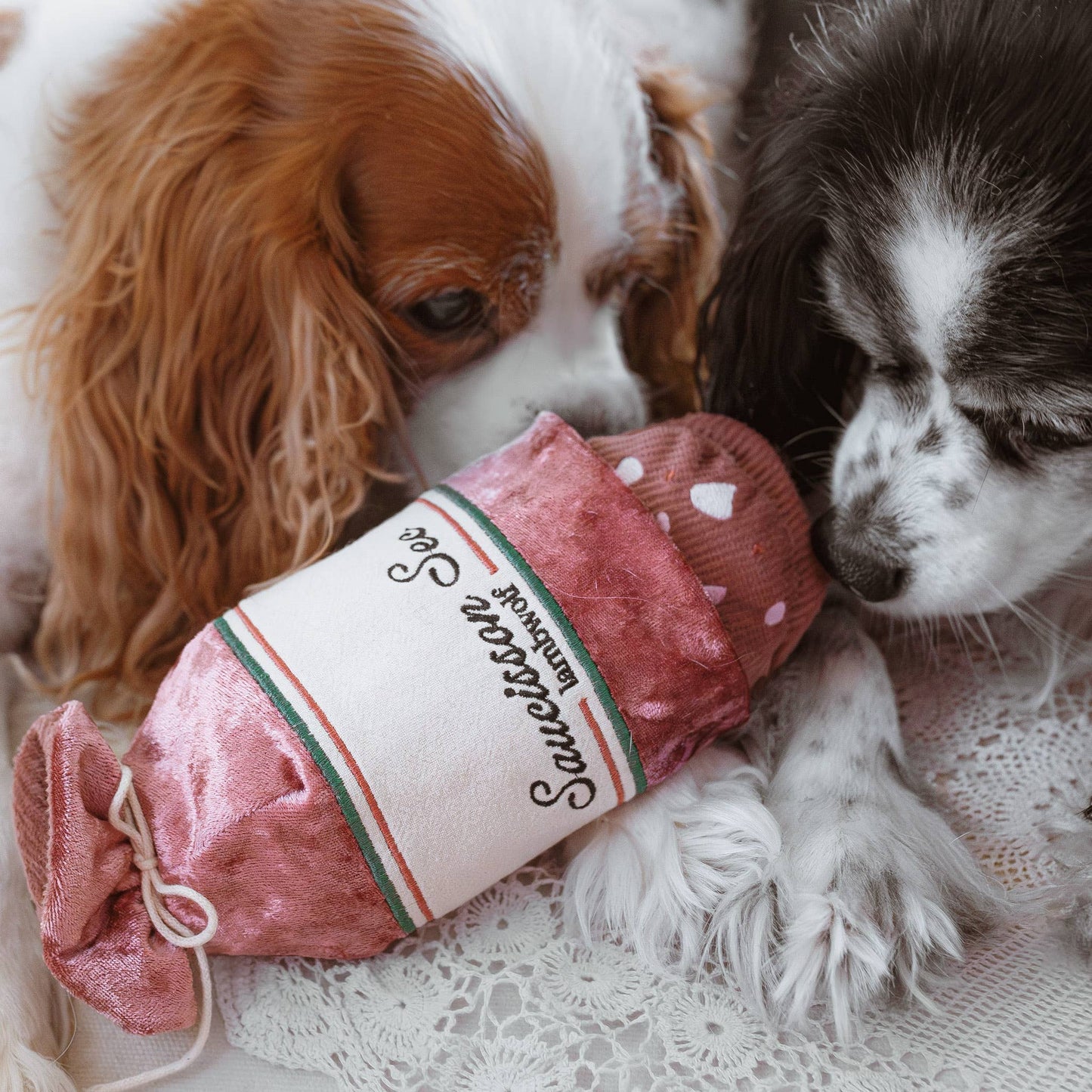 Saucisson Sec Dog Toy