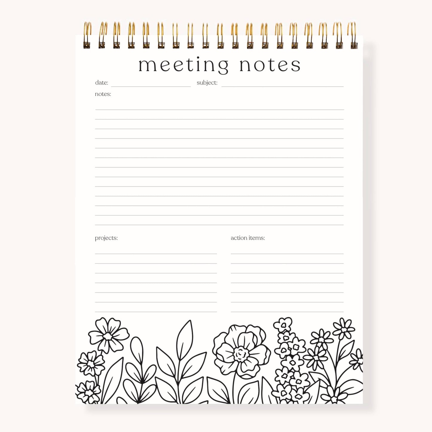 Color-In Meeting Notes