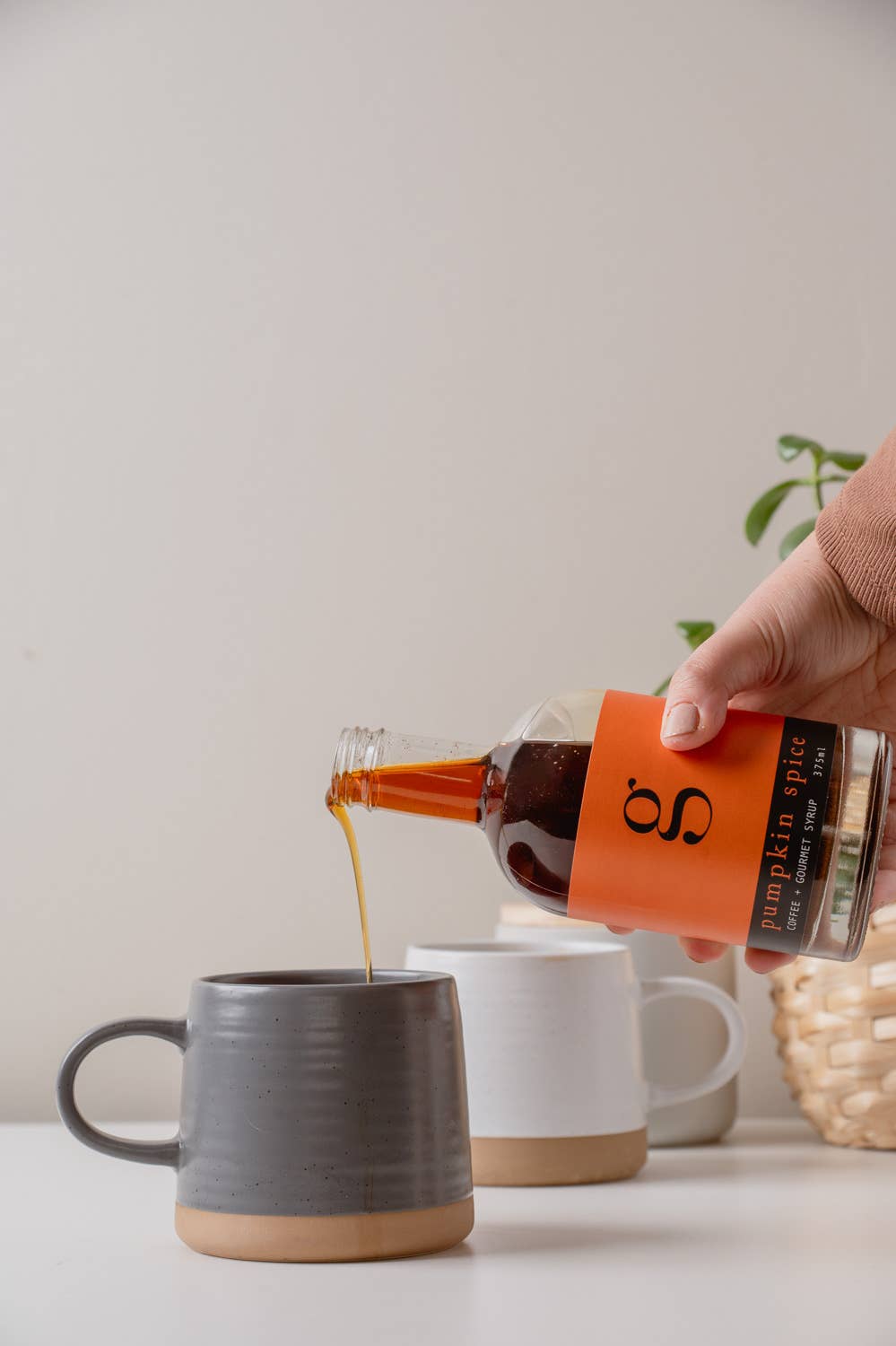 Pumpkin Spice Gourmet + Coffee Syrup | 375ml