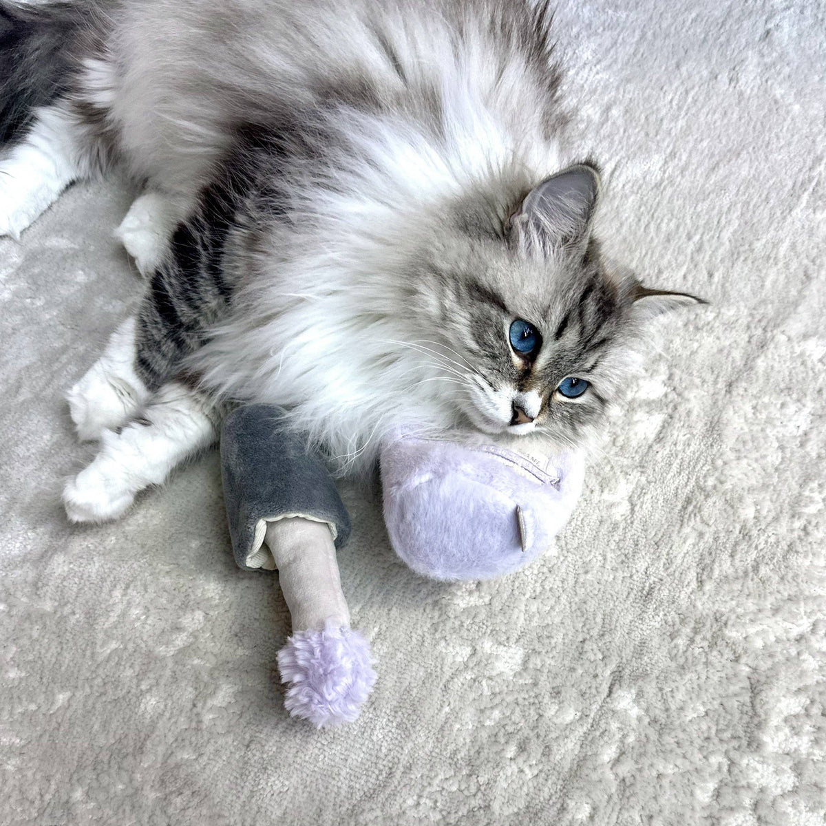 Kitty Nail Polisher