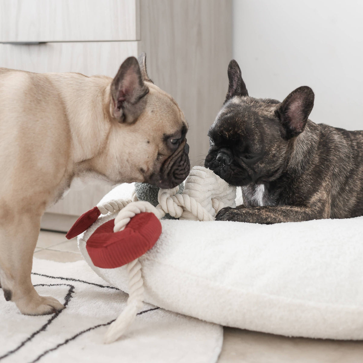 XMAS BLOCS // ENRICHMENT DOG TOY