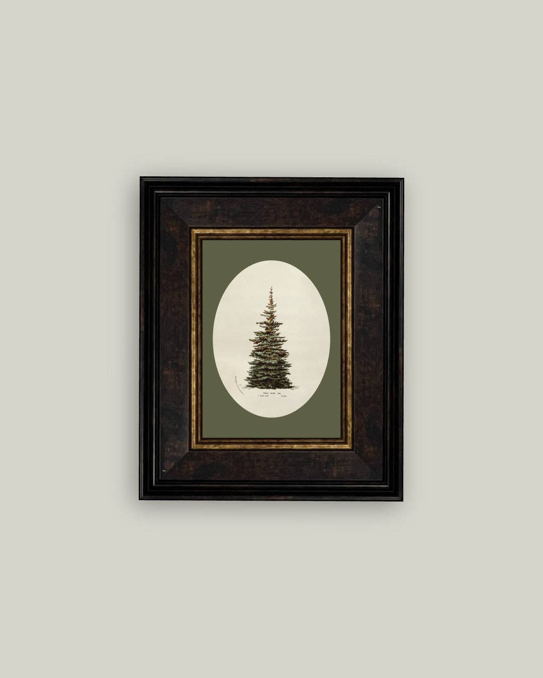 Oval Matte Tree Framed Antique Art: 7x9