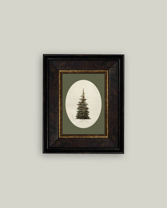 Oval Matte Tree Framed Antique Art: 7x9
