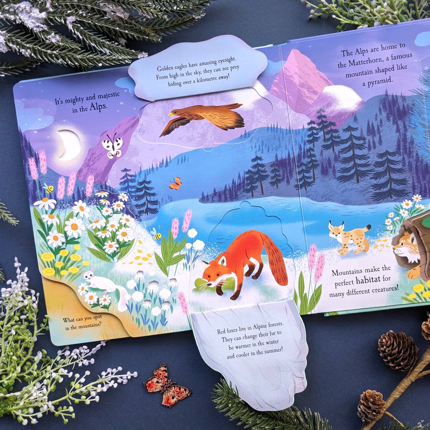 Let's Explore The Mountains - Children's Lift-The-Flap Book