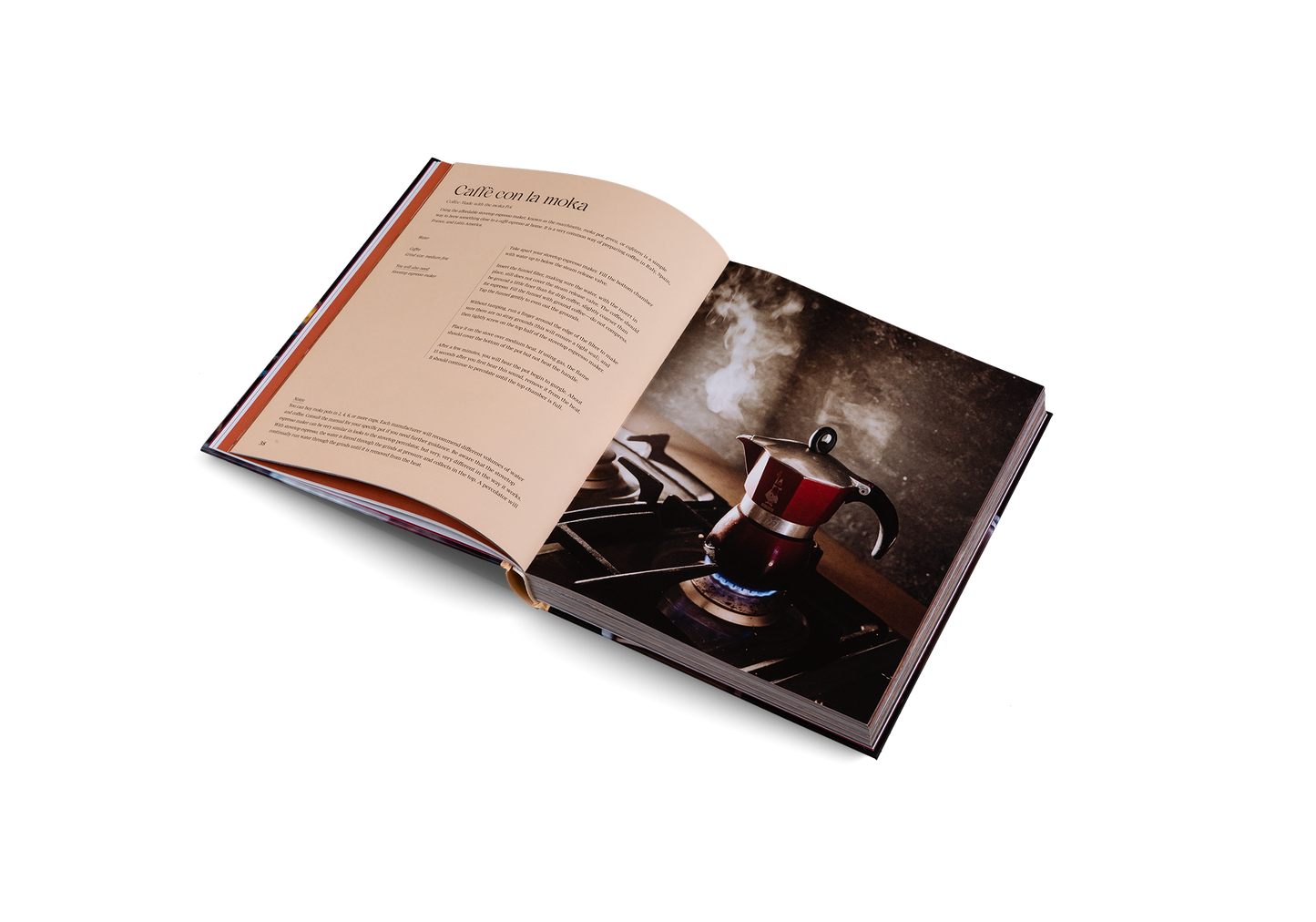 Spill the Beans (Updated Edition)