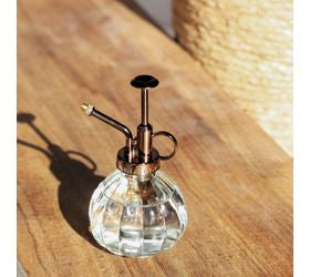 SUCCULENT MISTER BALL SHAPE