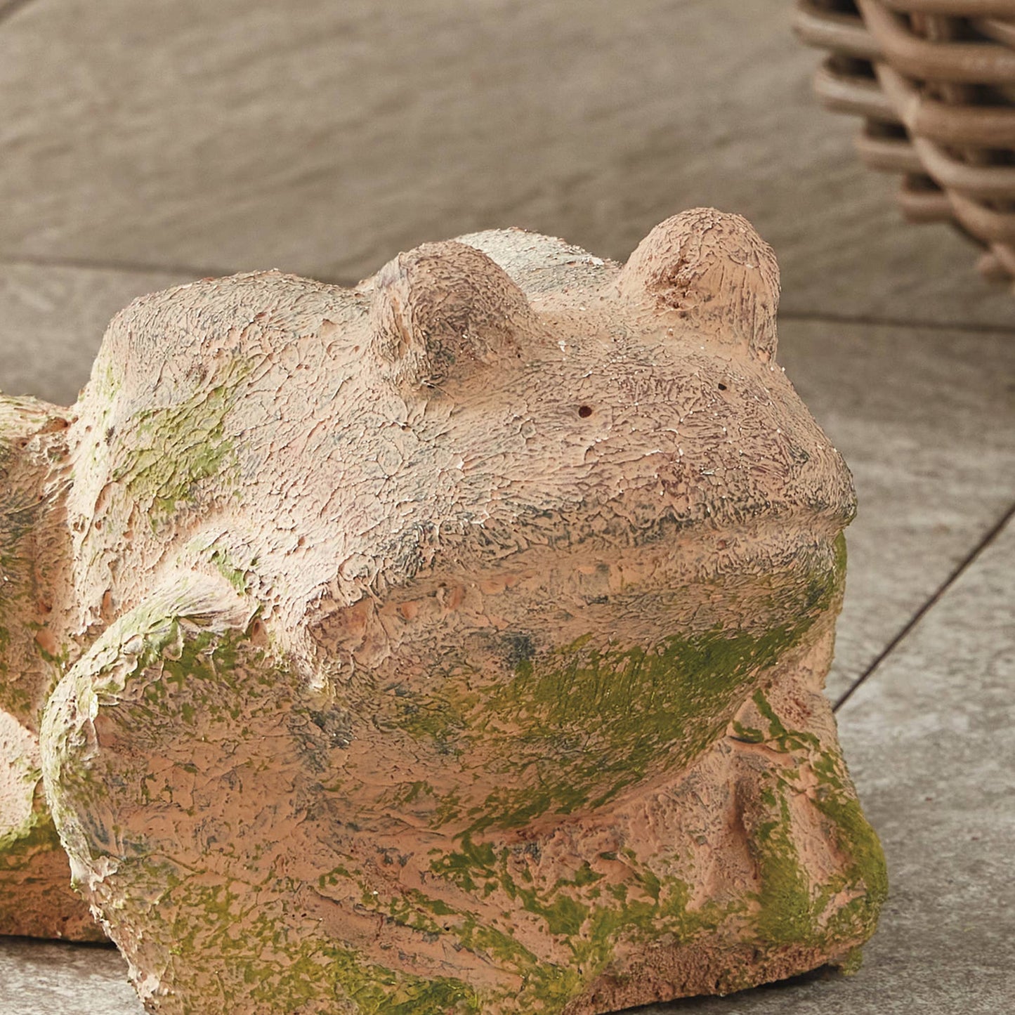 Weathered Garden Frog, Brown