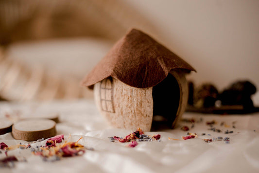 Coco Gnome House