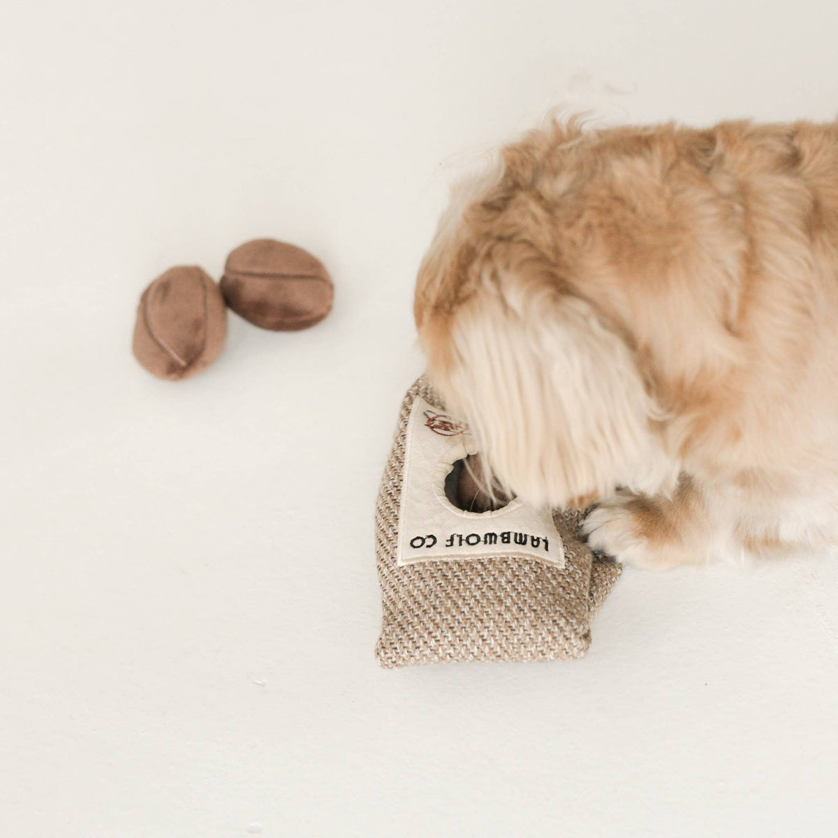 Coffee Beans // ENRICHMENT DOG TOY
