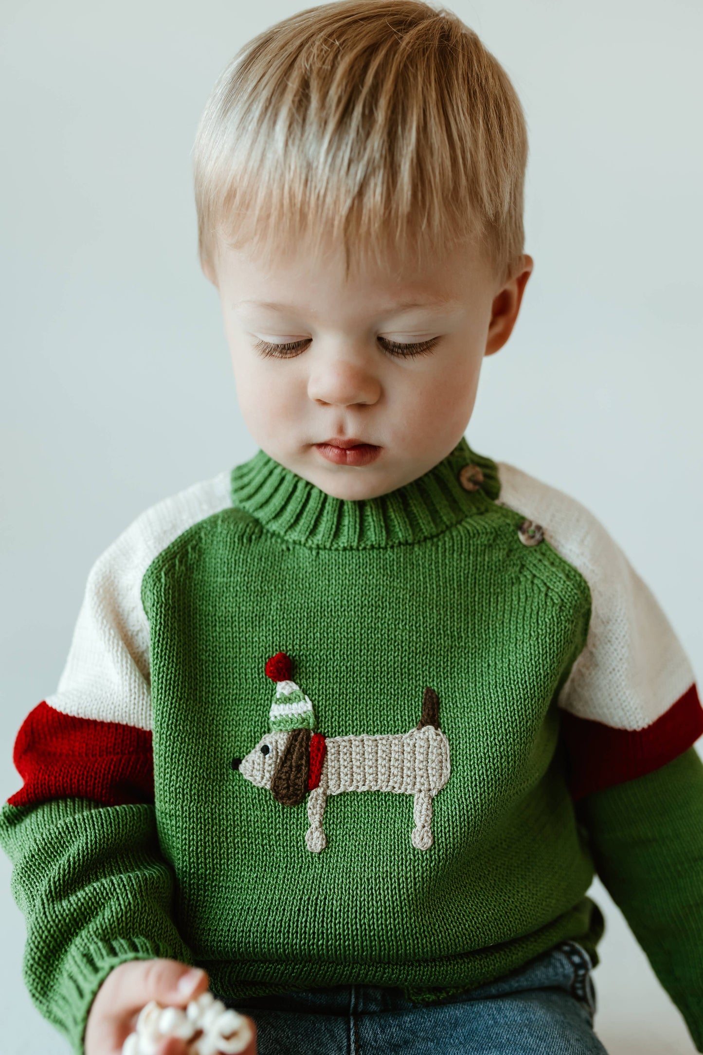 Holiday Dog Sweater: 12 months