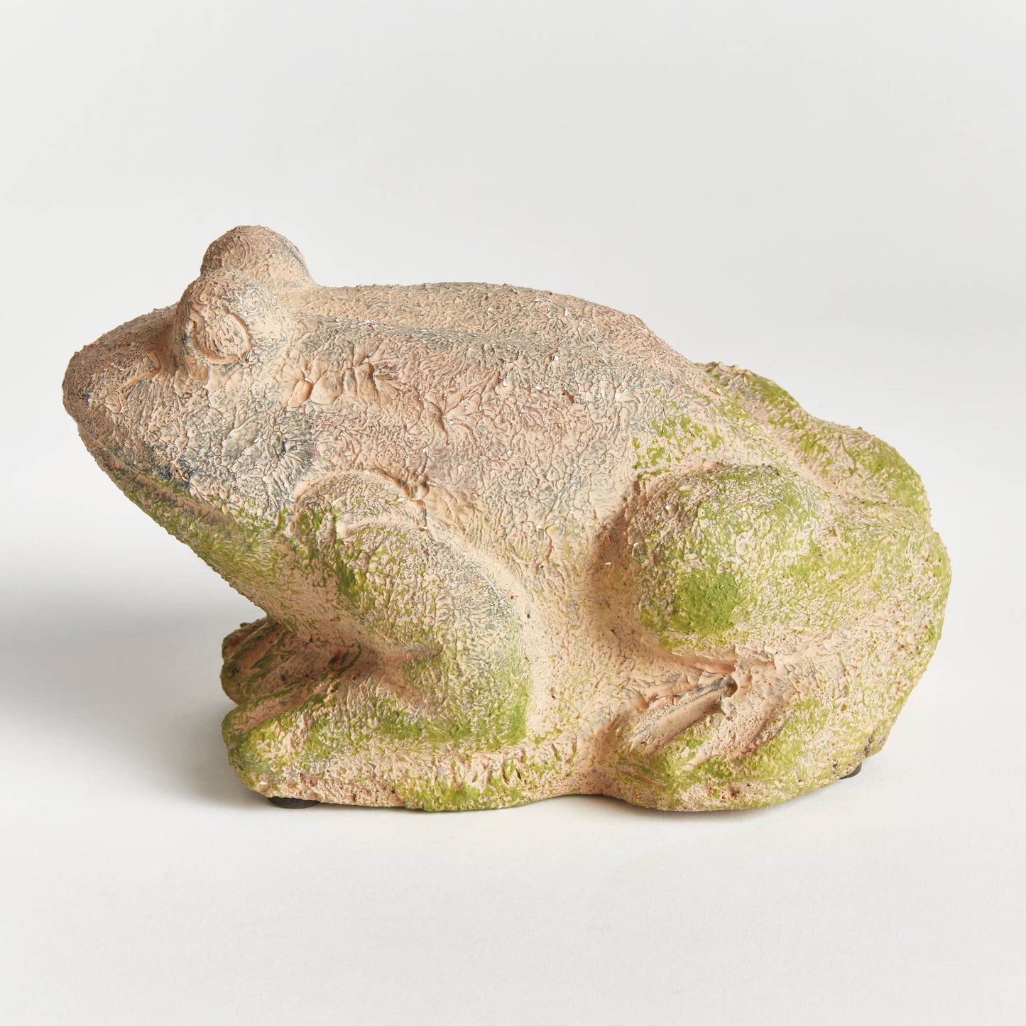 Weathered Garden Frog, Brown