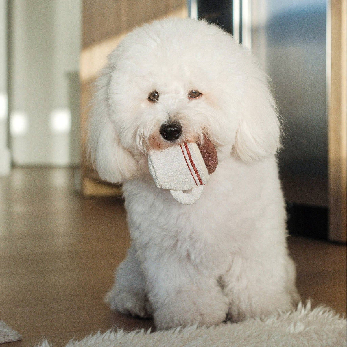 ESPRESSO POP // ENRICHMENT DOG TOY