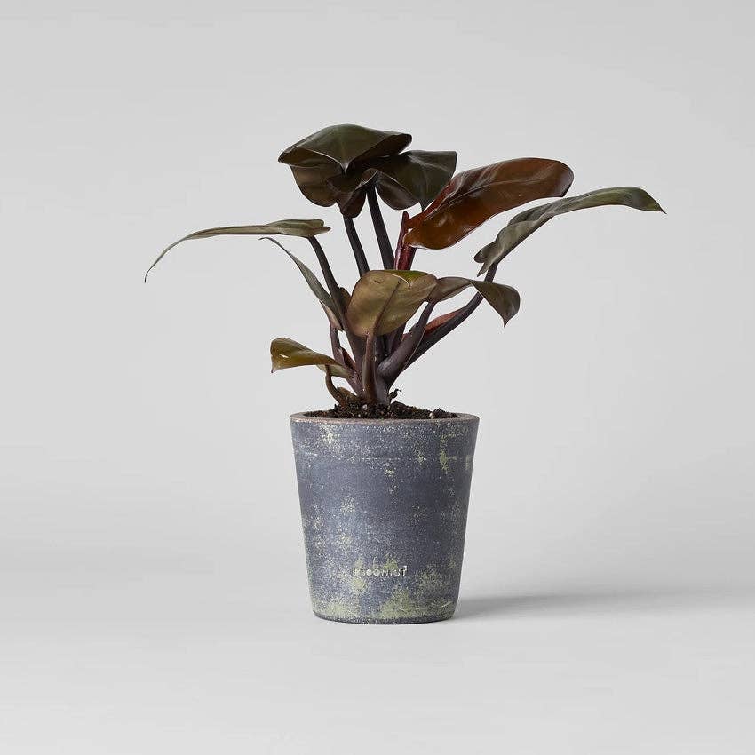 Basic Planter, Grey Patina: Medium