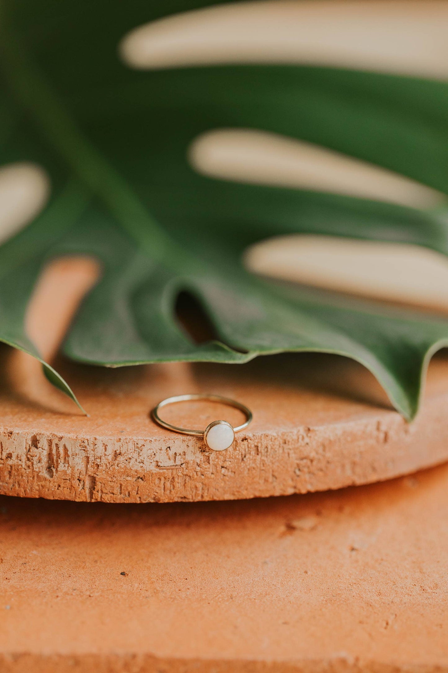 Poppy Ring | 14kt Gold Fill