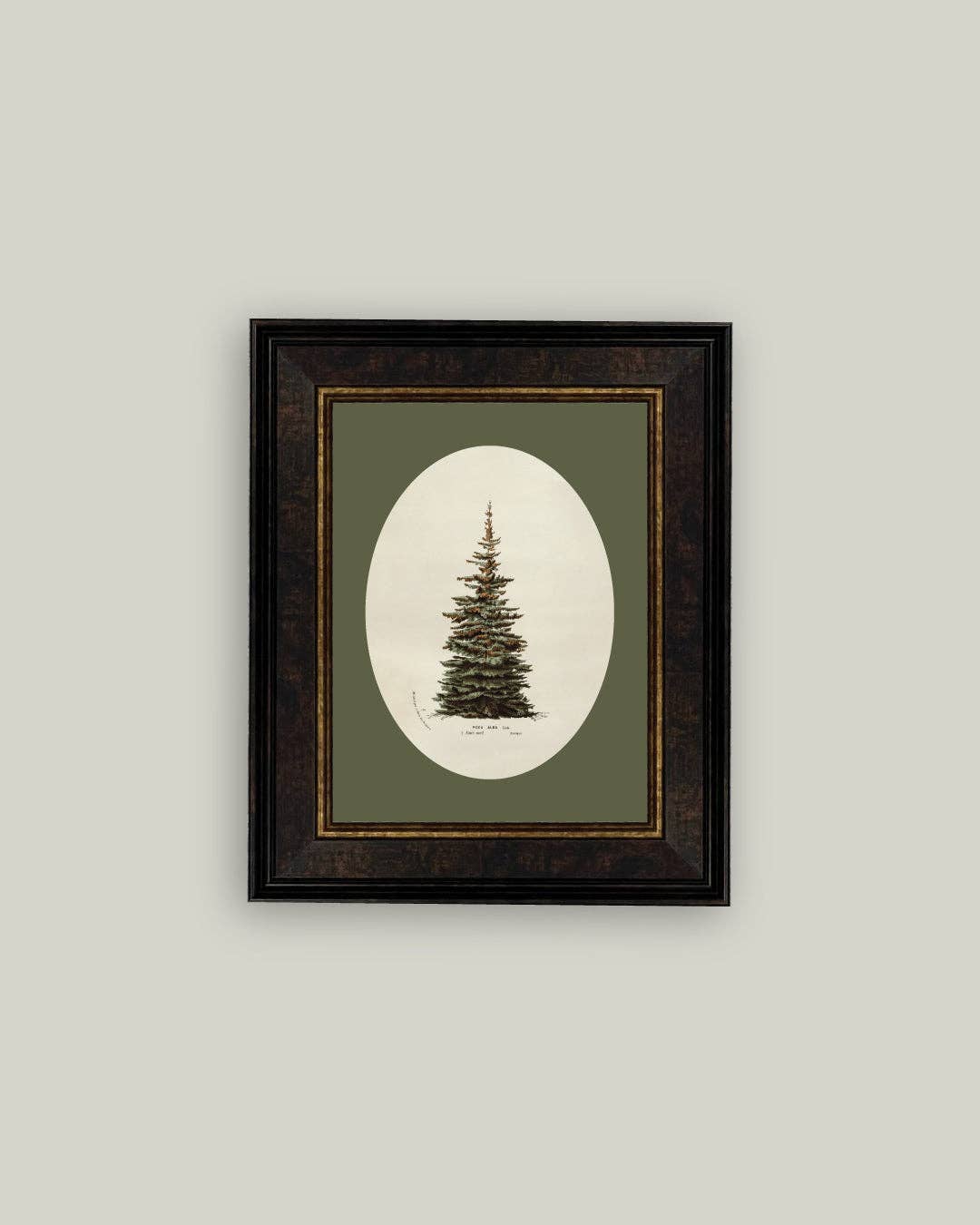 Oval Matte Tree Framed Antique Art: 10x12