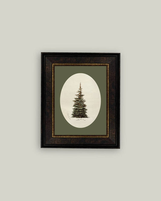 Oval Matte Tree Framed Antique Art: 10x12