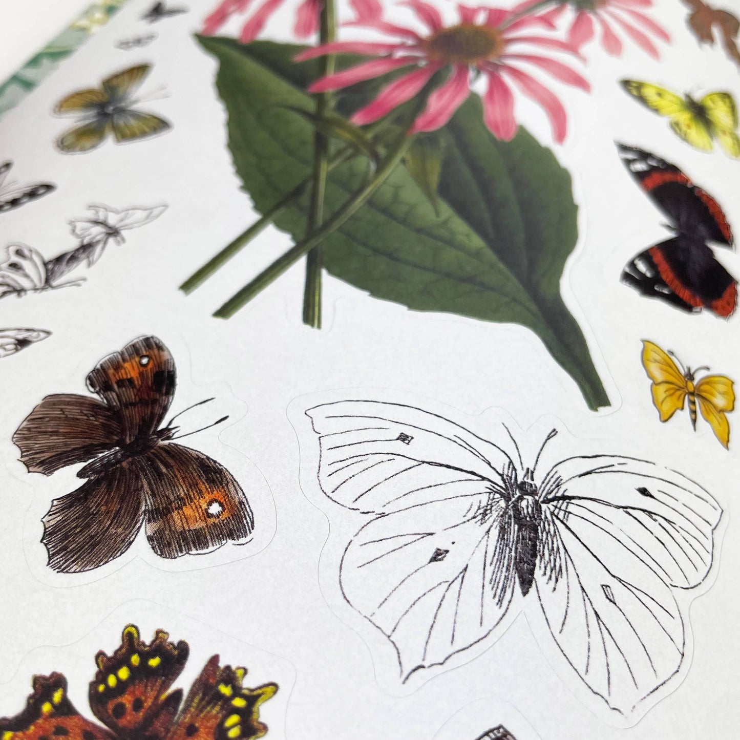Sticker Emporium: Woodlandia Scrapbooking Sticker Book
