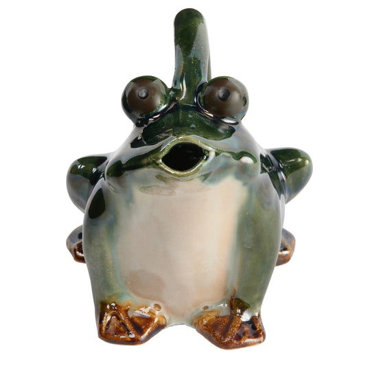 Stoneware Frog Watering Pitcher