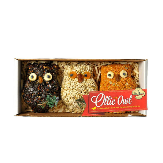 Ollie The Owl - 3 Pack