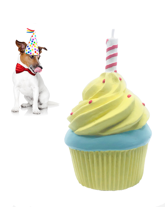 Birthday Cupcake Squeaky Rubber Dog Toy